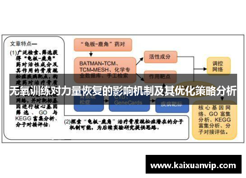 无氧训练对力量恢复的影响机制及其优化策略分析